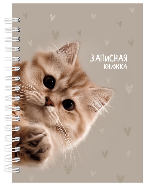Записная книжка на гребне А6 80л., ЗАБАВНЫЙ КОТИК - 3, 80-9512