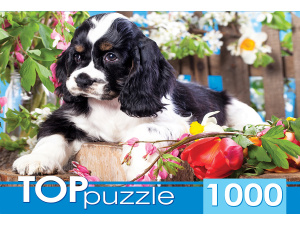 TOPpuzzle. ПАЗЛЫ 1000 элементов. 'Щенок спаниеля в саду, ГИТП1000-2143