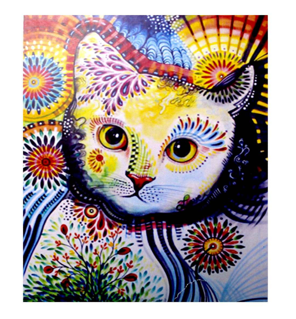 АЛМАЗНАЯ МОЗАЙКА , DARLENS , 'КОТИК' , 300х400 мм , крупный камень , 14 цв, DL-DRL02515-3041