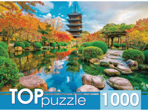 TOPpuzzle. ПАЗЛЫ 1000 элементов.