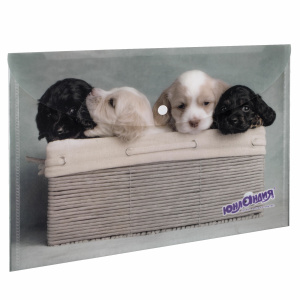 Папка конверт с кнопкой ЮНЛАНДИЯ 