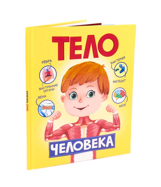 Книга А4 ПрофПресс ТЕЛО ЧЕЛОВЕКА матов.ламин, выбор.лак, 200х240